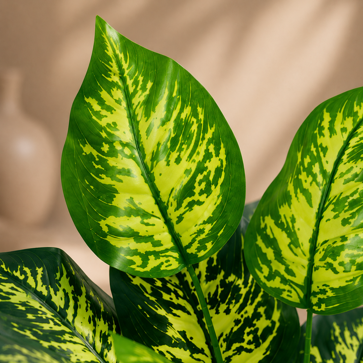 Dieffenbachia artificiel — 40 cm, 12 feuilles