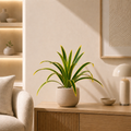 Dracaena artificiel — 60 cm, 18 Feuilles