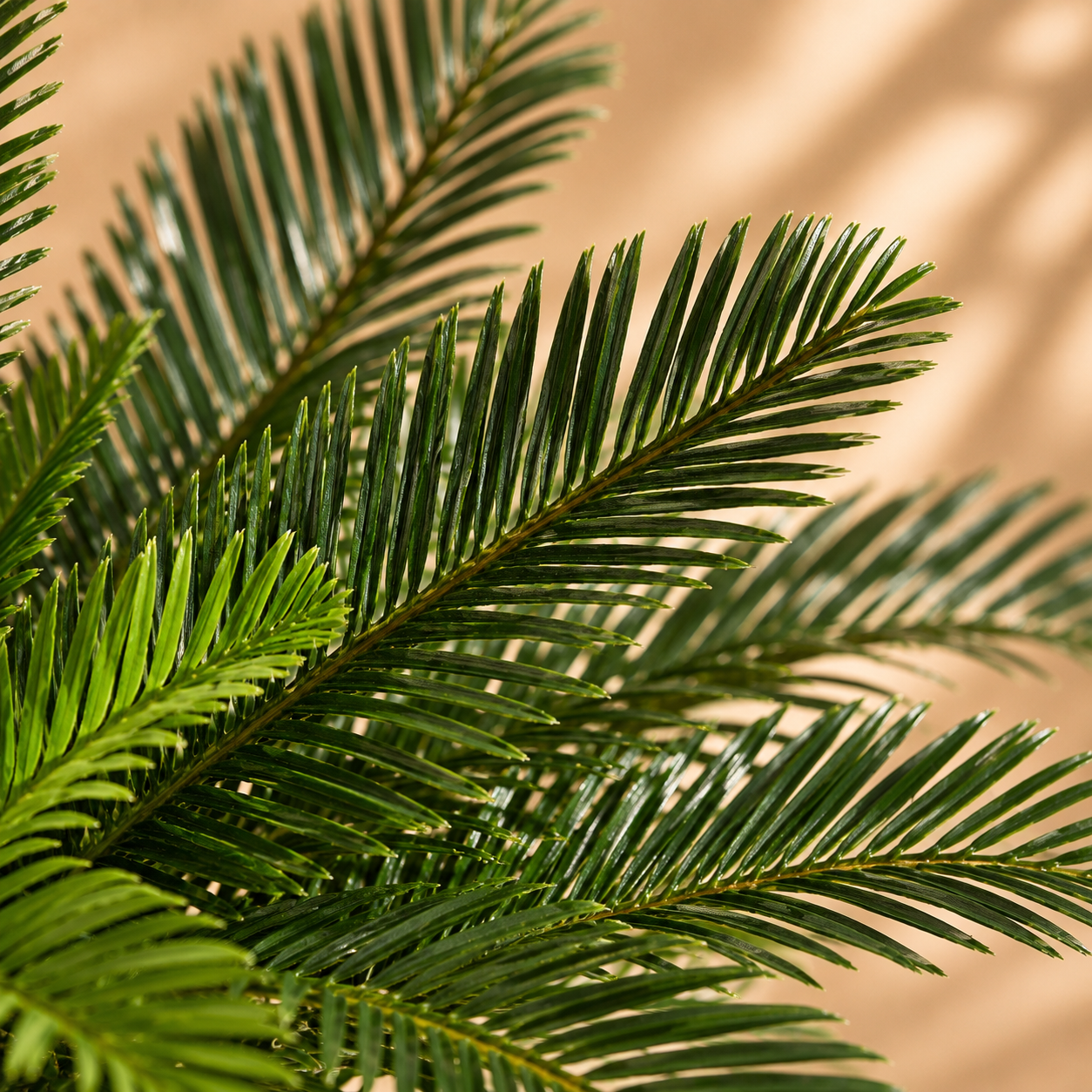 Palmier cycas artificiel — 45 cm, 21 feuilles
