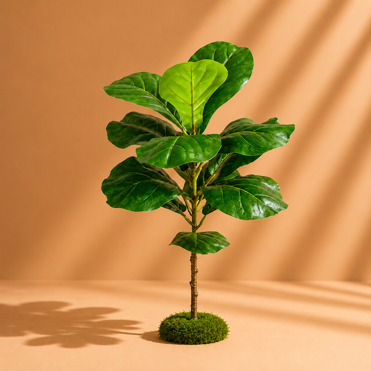 Ficus lyrata artificiel — 70 cm
