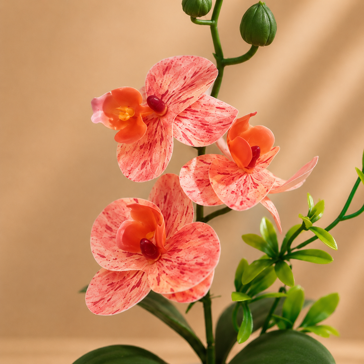 Orchidée rouge-orange — 26 cm