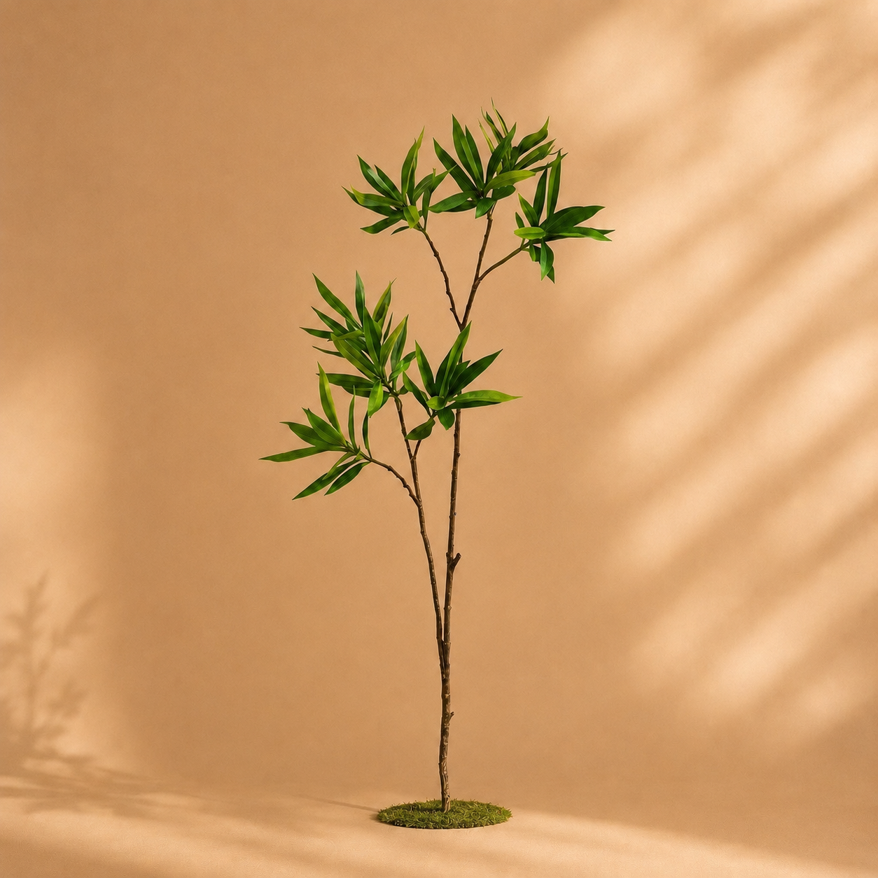Dracaena artificielle — 88 cm