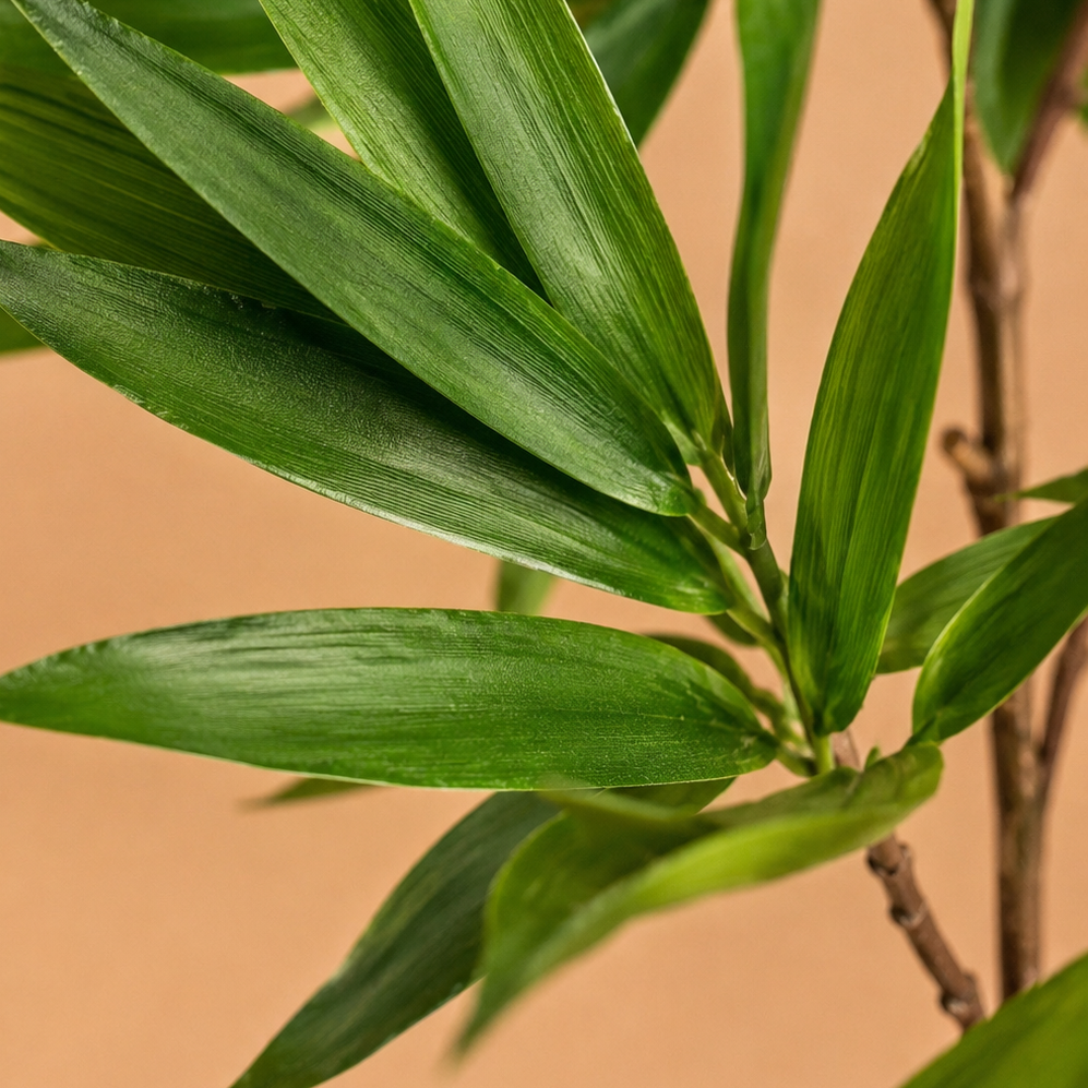 Dracaena artificielle — 88 cm