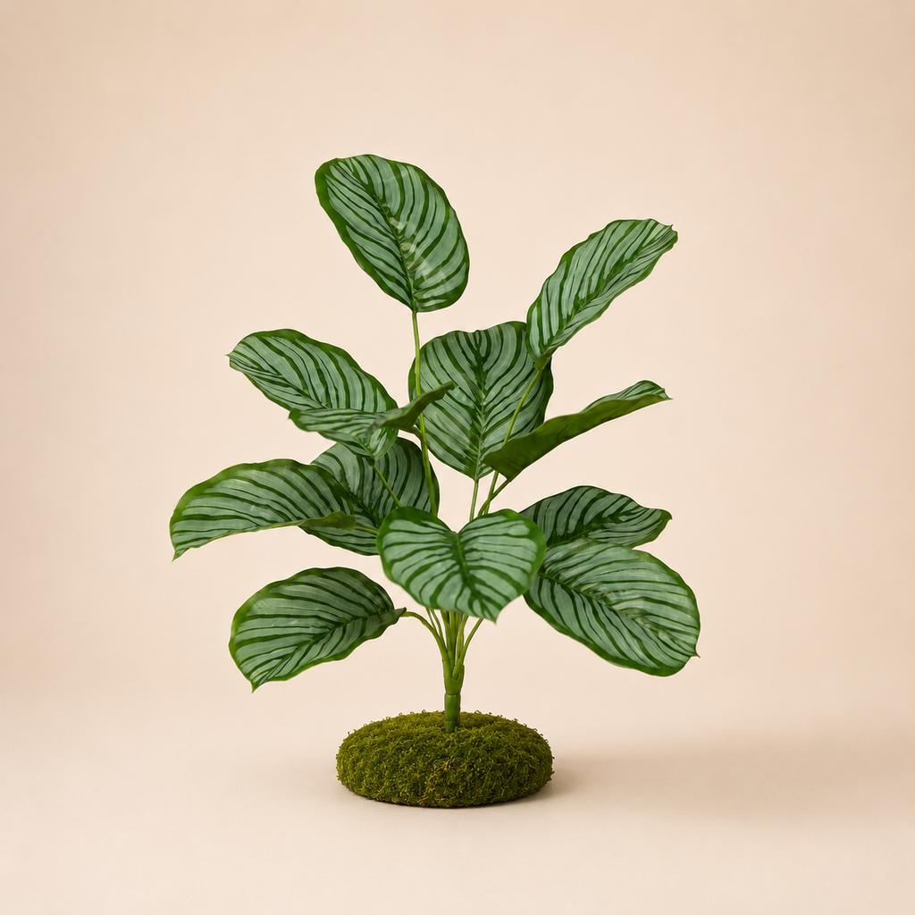 Calathea artificielle — 40 cm