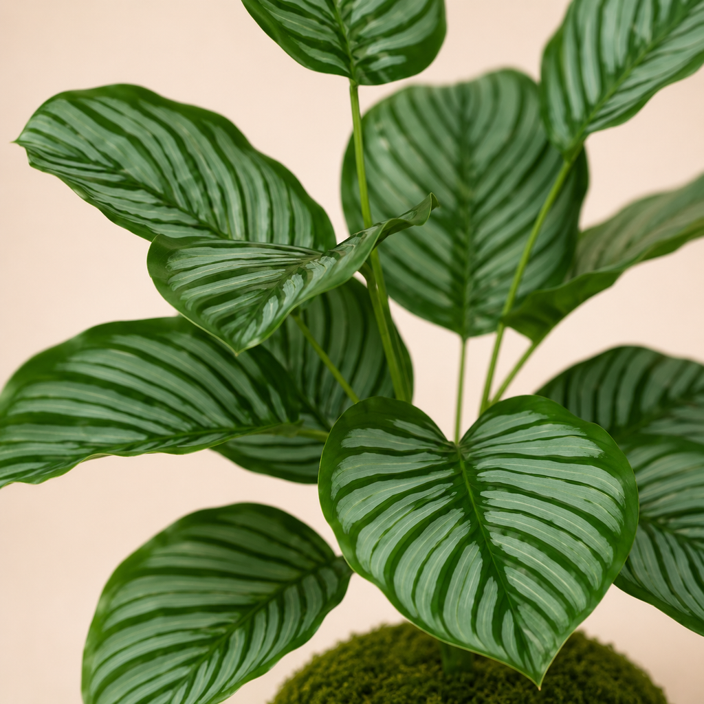Calathea artificielle — 40 cm