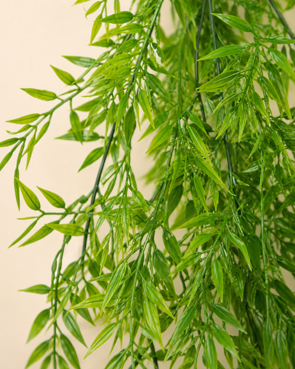 Asparagus artificielle — 105 cm