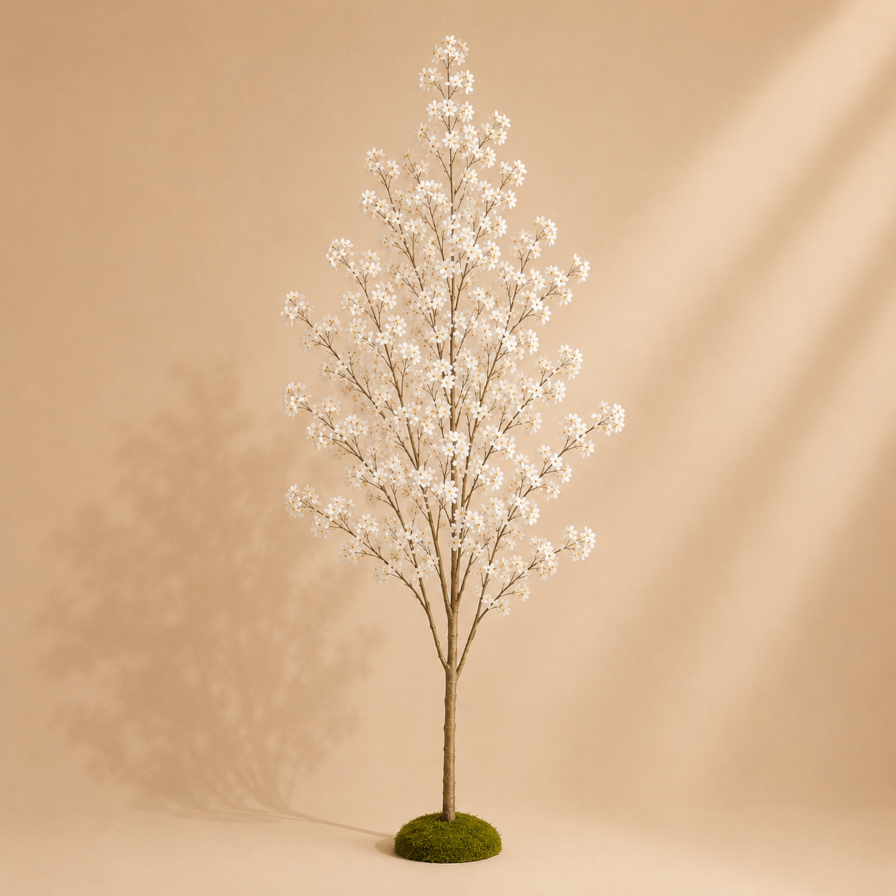 Grand cerisier blanc — 220 cm