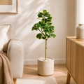Ficus artificiel — 76 cm