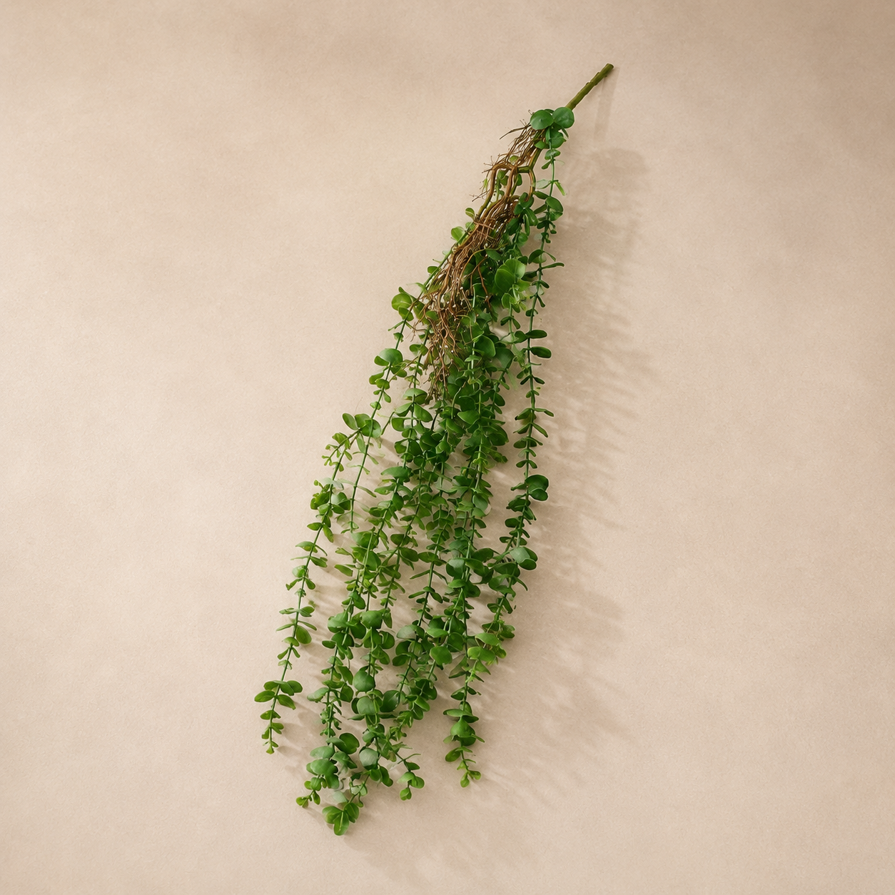 Eucalyptus vert — 105 cm
