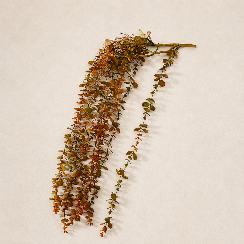 Eucalyptus rouge — 105 cm