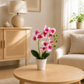 Orchidée rose artificielle — 40 cm