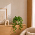 Monstera artificiel — 75 cm