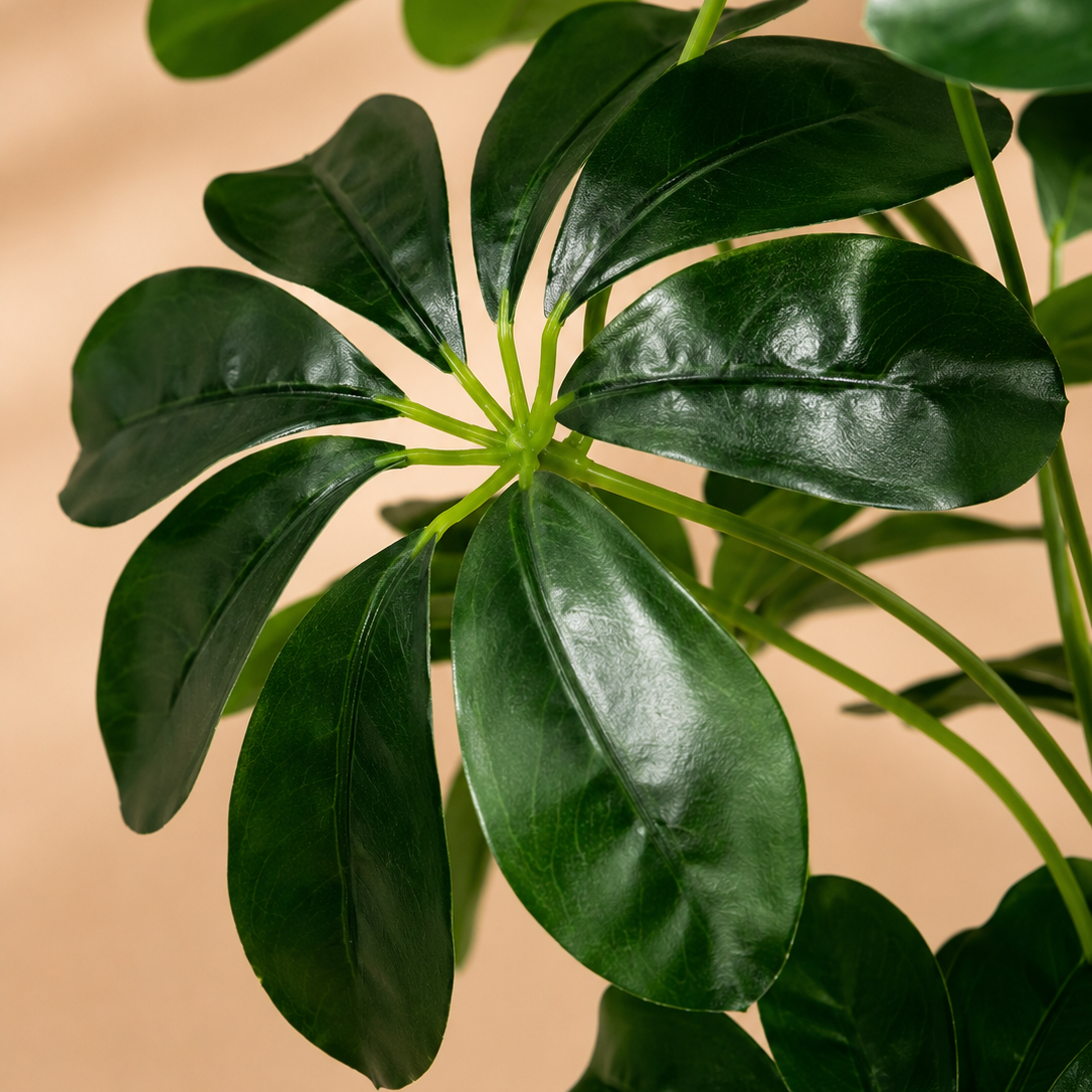 Schefflera artificiel — 75 cm, 24 Feuilles