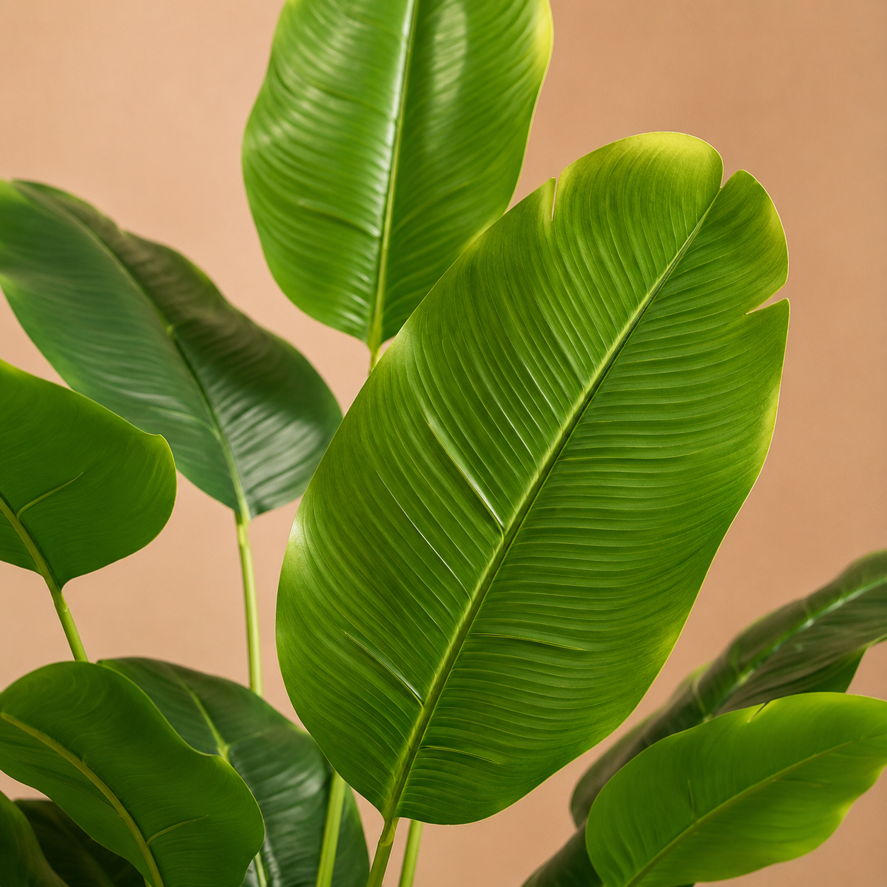 Bananier artificiel — 90 cm, 18 Feuilles
